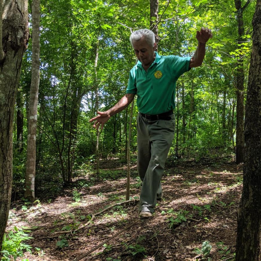 Centro Ecoturistico Flor De Pochote El Pochote Kültér fotó